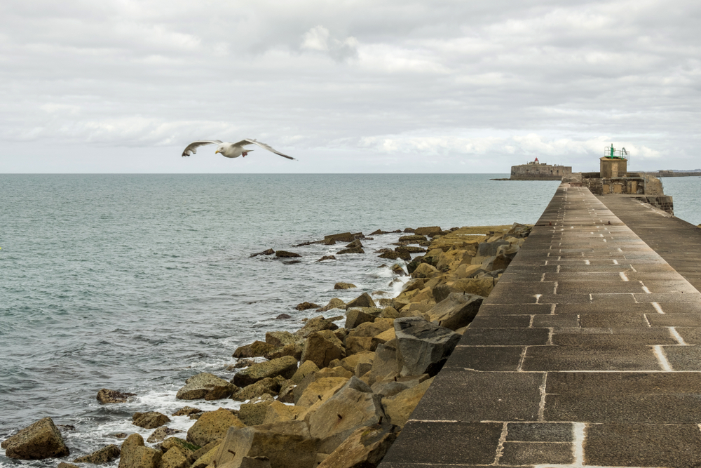 pier in Cherbourg met een meeuw die voorbij vliegt