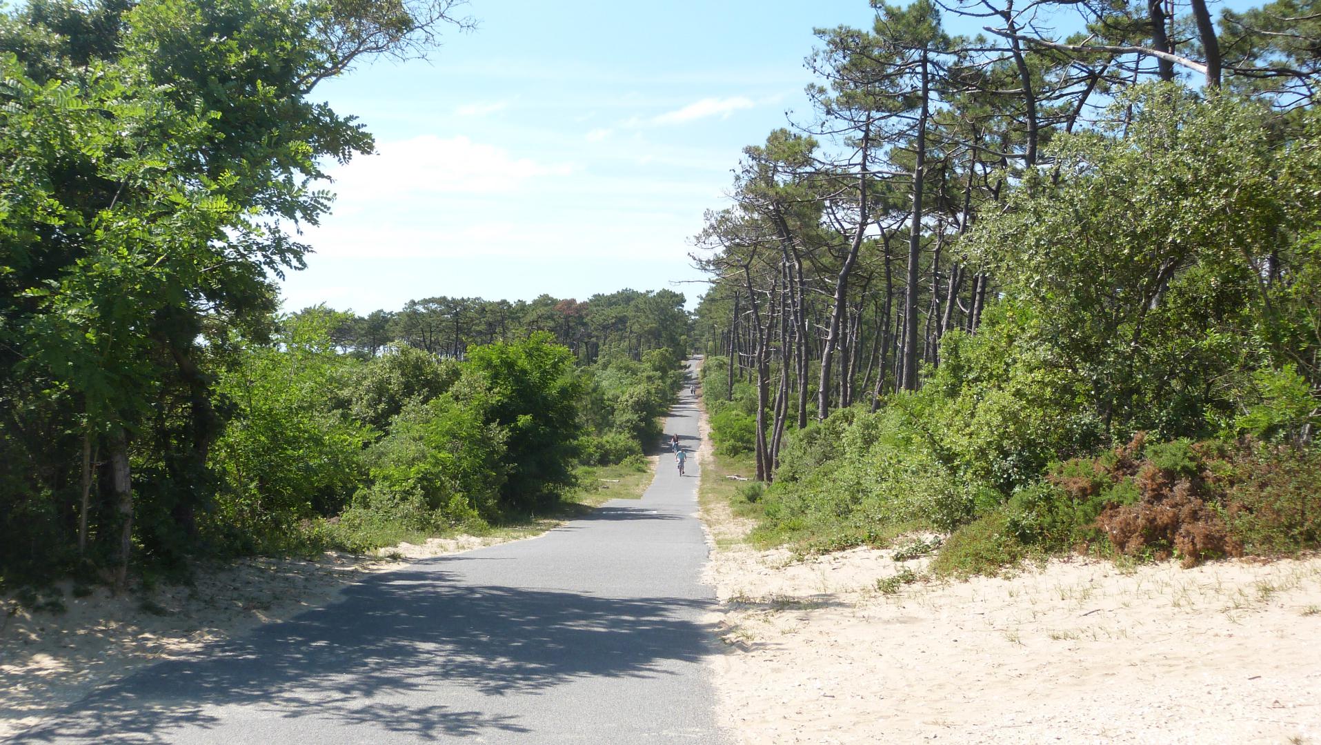 pad door een zanderige en beboste omgeving waar een paar mensen fietsen en lopen