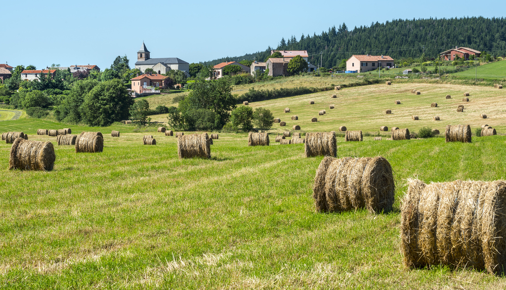 Saint Sernin sur Rance Grands Causses shutterstock 163954172, grands causses