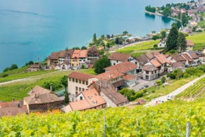 Les Epesses Vendée dorpen shutterstock 389315104, zin in frankrijk