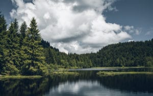 Meren van la Bresse Vogezen shutterstock 1123374203, zin in frankrijk