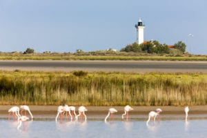 Phare de la Gacholle Camargue sh 255133858, zin in frankrijk