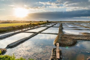 Marais Salants de Guérande Loire Atlantique shutterstock 1528279445, zin in frankrijk