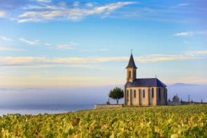 Wijngaarden van Beaujolais Rhône shutterstock 510601147, zin in frankrijk