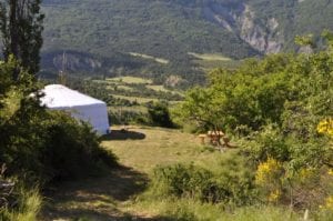 df2aba1d2fd7de780a82038a9d69e6fb, zin in frankrijk