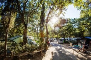 Camping Castel Domaine de la Bergerie, zin in frankrijk