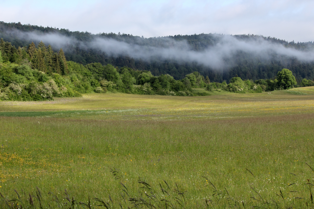 Bugey en Grand Colombier Ain shutterstock 1109999729, Bezienswaardigheden in de Ain