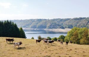 fuc009 view 04, zin in frankrijk