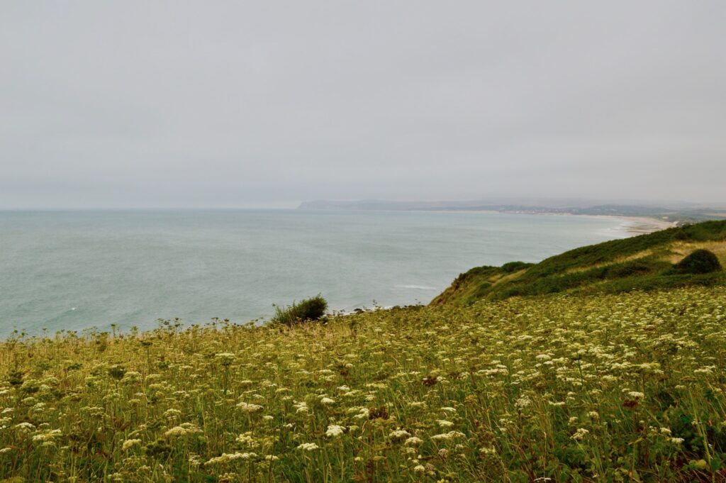 Cap Gris Nez uitzicht richting Wissant pvf, wandelen langs de Opaalkust