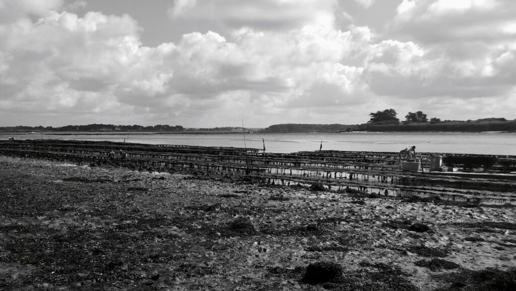Saint Cado oesterpark pvf, mooie plaatsen Morbihan