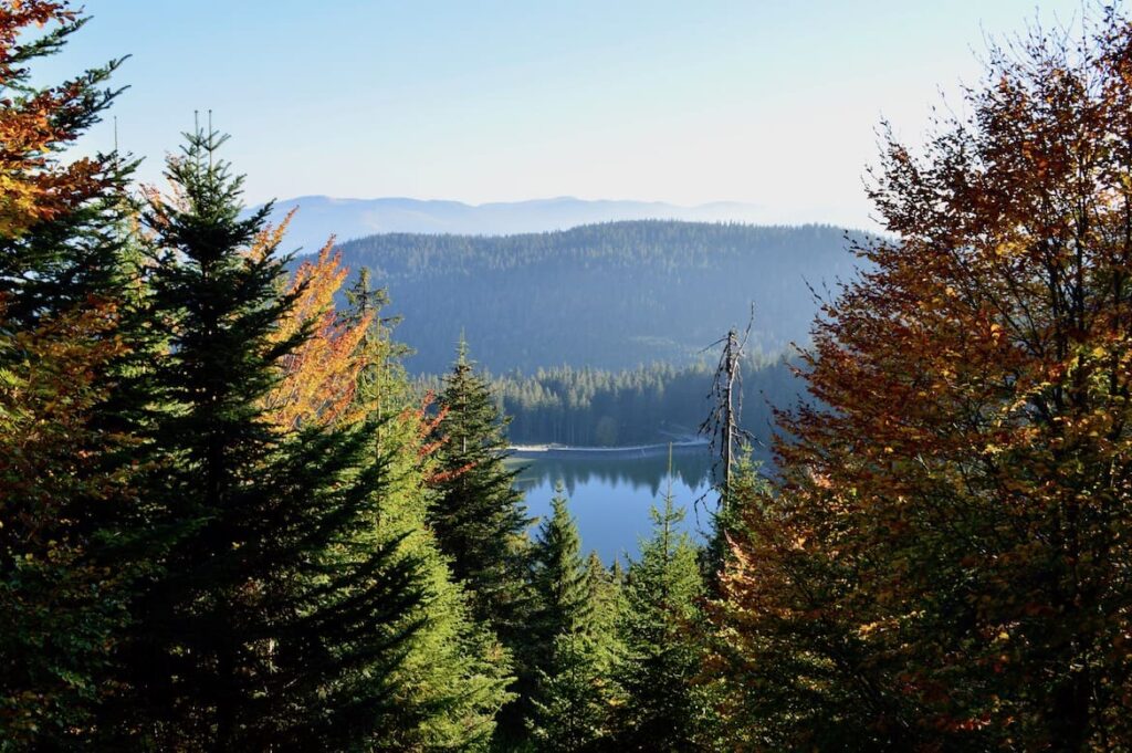 Lac vert uitzicht wandelen meren hoge vogezen pvf, Tanet Gazon du Faing Vogezen