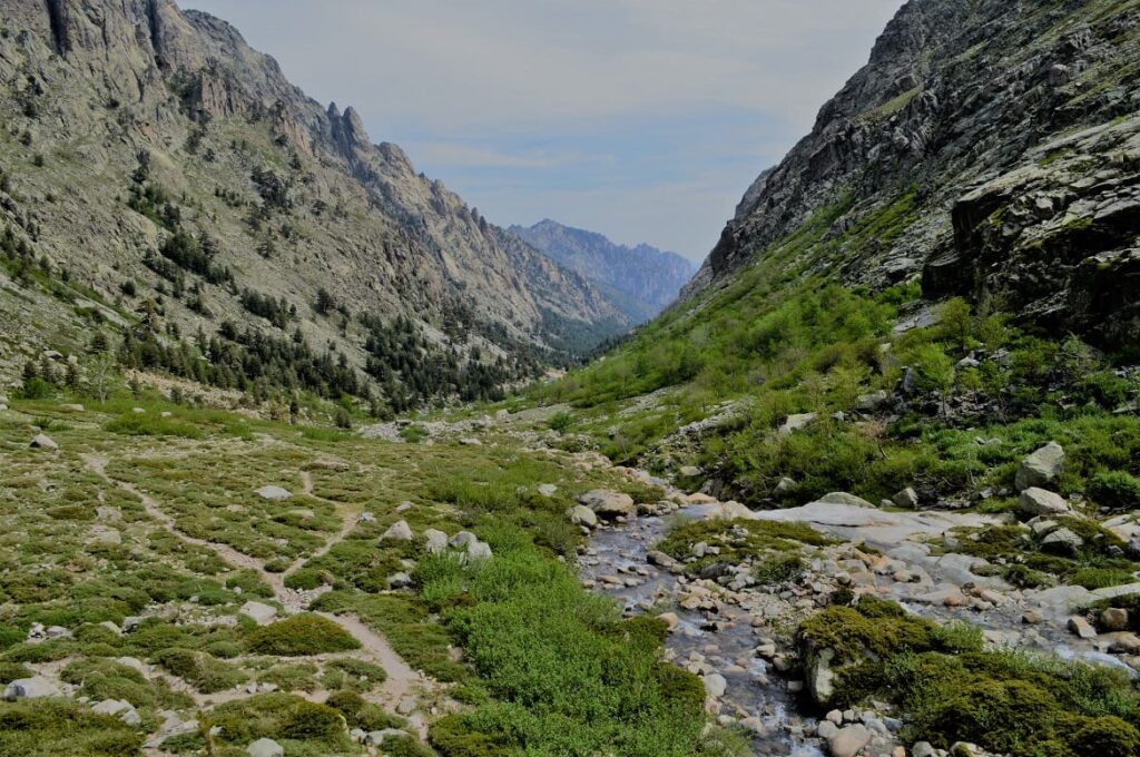 Restonica PVF, Natuur Corsica