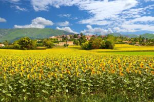 FranceComfort header, zin in frankrijk