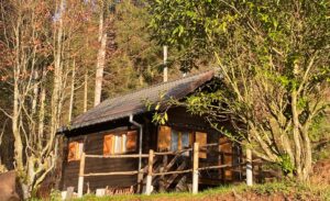 houten chalet in een bosrijke omgeving