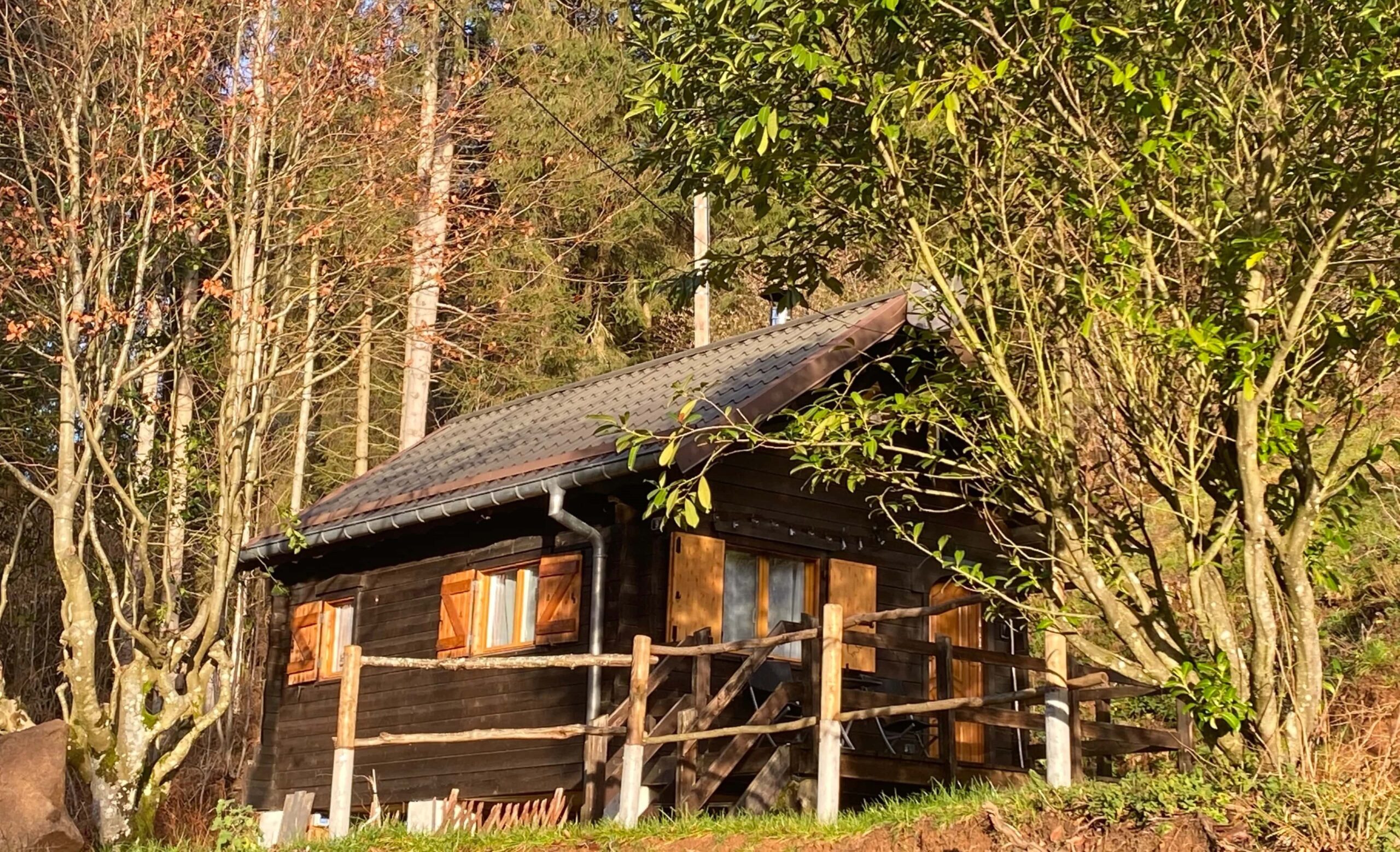 houten chalet in een bosrijke omgeving