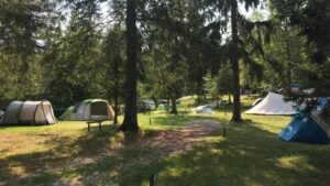 Domaine Du Bugnon, zin in frankrijk