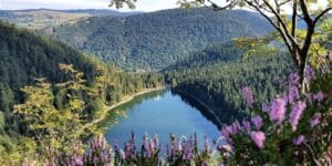 Lac des Corbeaux header SH 1881074578 1, zin in frankrijk